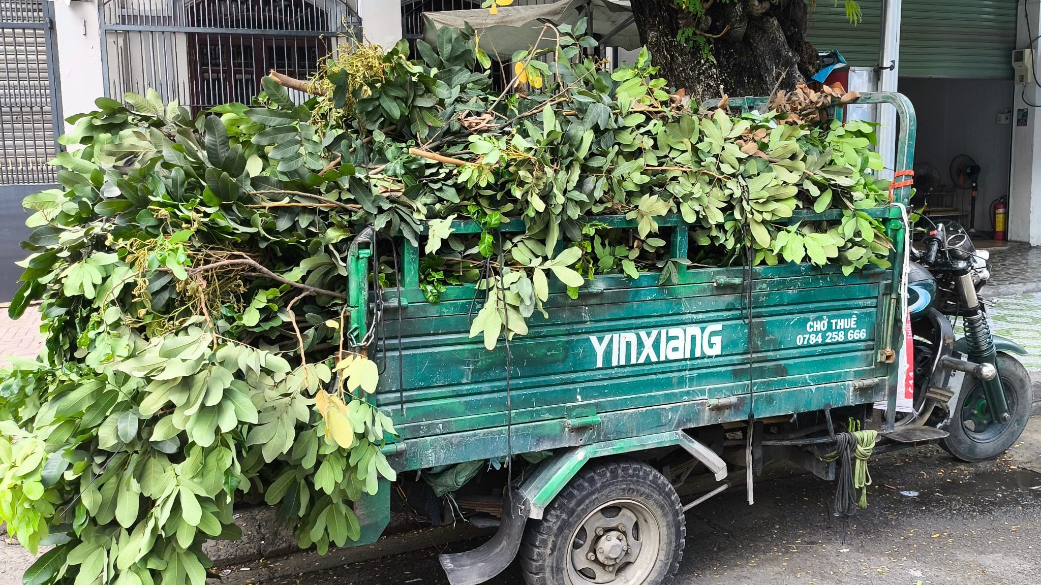 dịch vụ đổ rác lá cây bằng xe ba gác