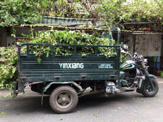 xe ba gác dọn đổ rác sân vườn tại Tân Bình