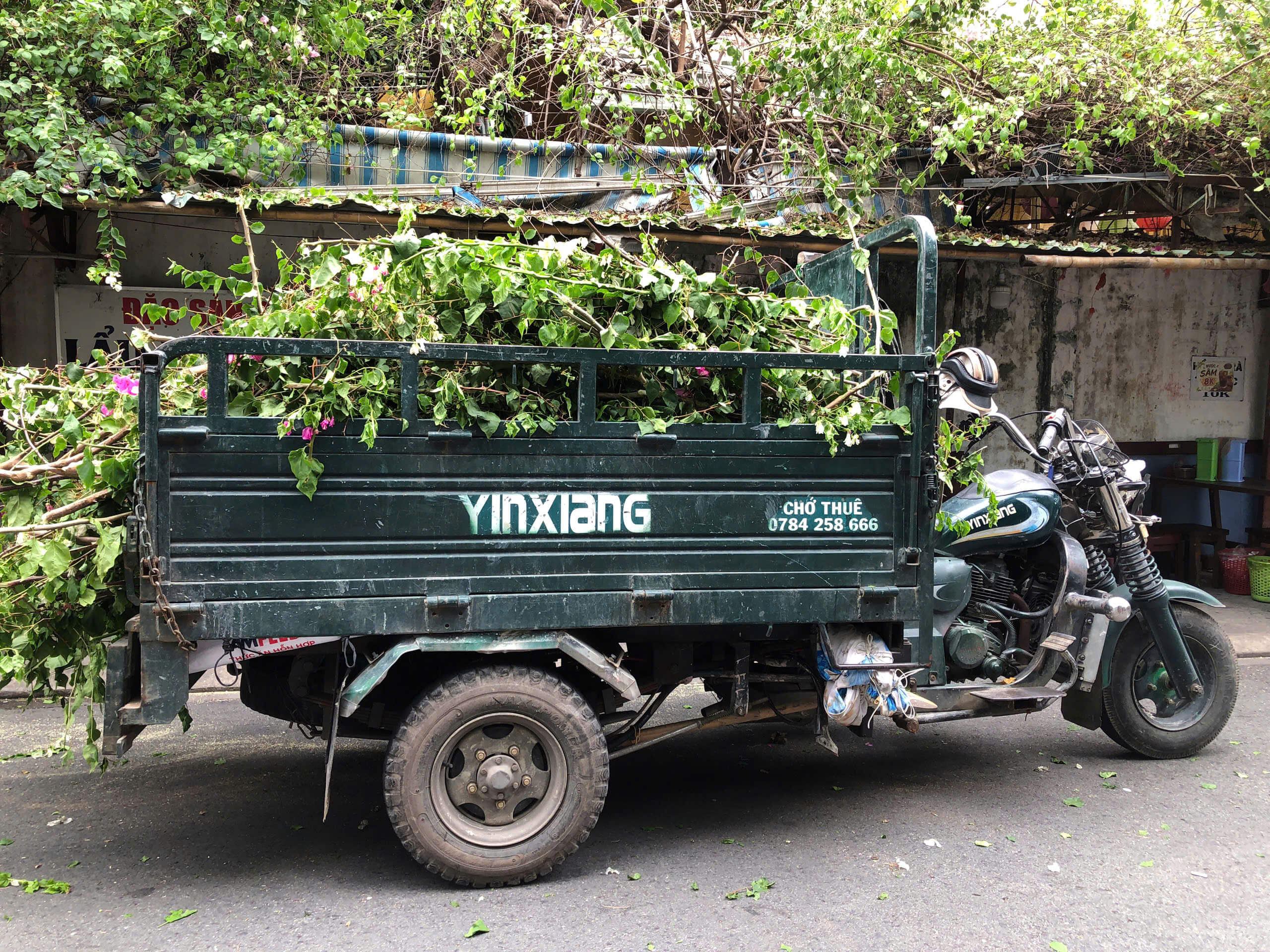 Xe ba gác đổ rác sân vườn sau cải tạo tại Tân Bình