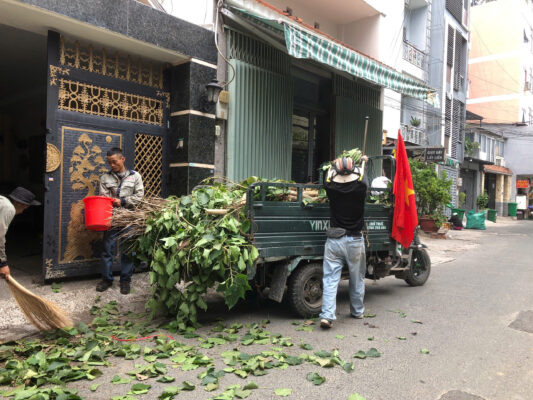 Dọn đổ rác cây xanh sau đốn hạ tại hẻm 72 Nhất Chi Mai Tân Bình